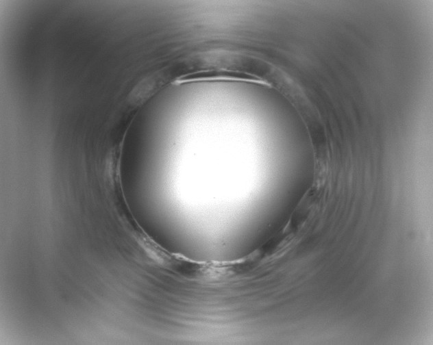 X0000069810333200606091841