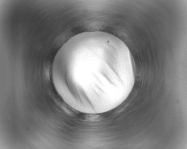 X0000069810334200606091841