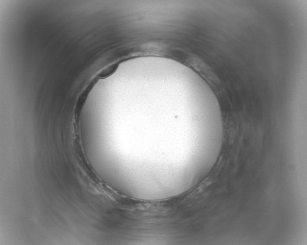 X0000069810338200606091840