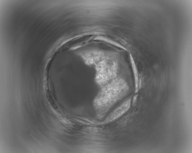 X0000069810339200606091840