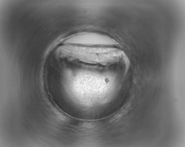 X0000069810341200606091840