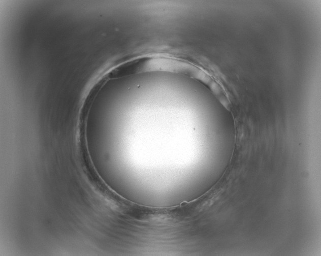 X0000069810344200606091840