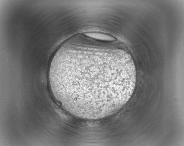 X0000069810345200606091840