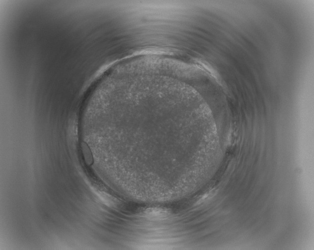 X0000069810348200606091841