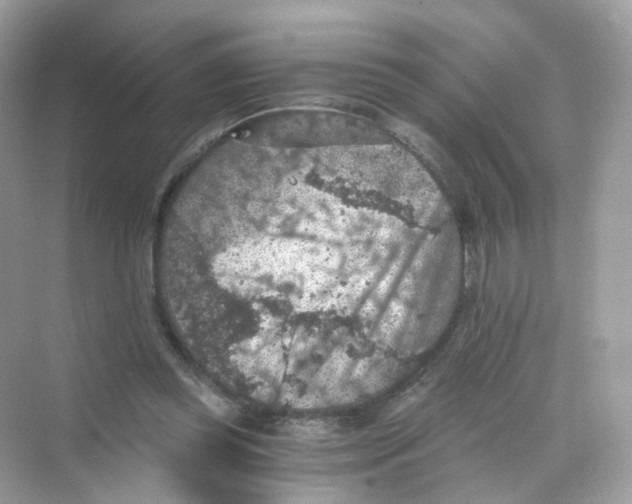 X0000069810349200606091841