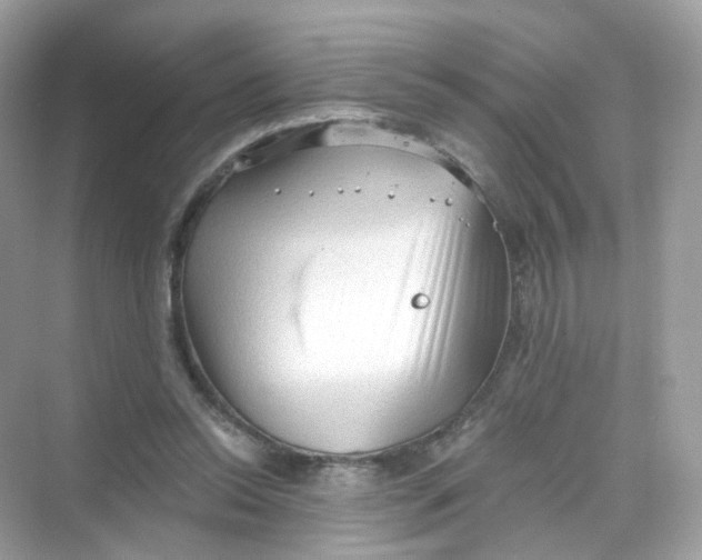 X0000069810350200606091841