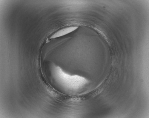 X0000069810353200606091841