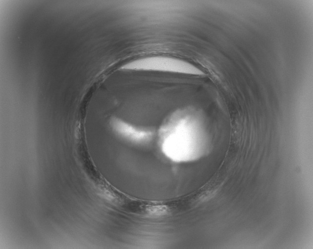 X0000069810355200606091841