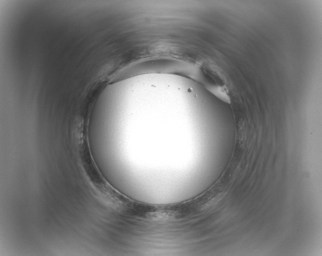 X0000069810356200606091841