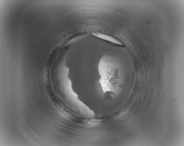 X0000069810359200606091841