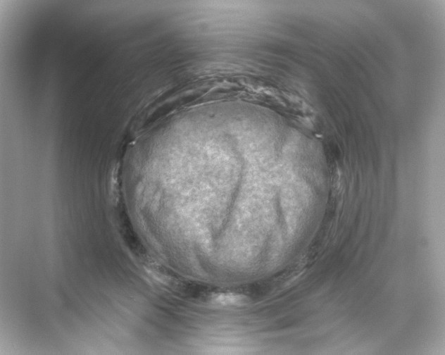 X0000069810360200606091841