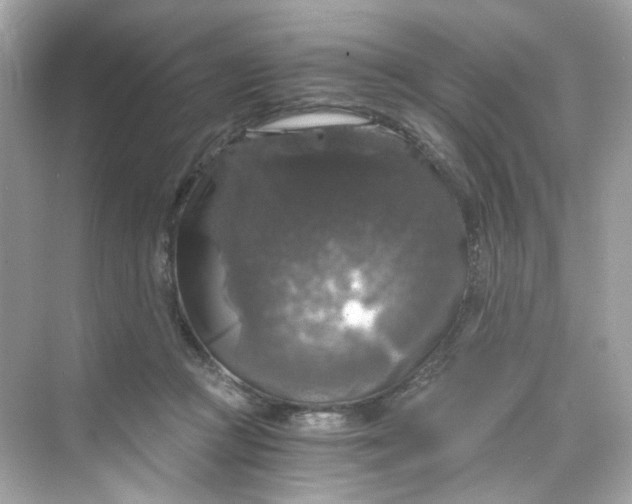 X0000069810361200606091841