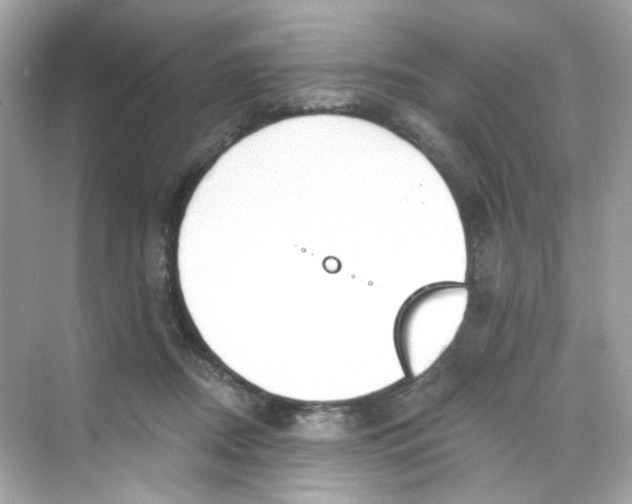 X0000069810362200606091841