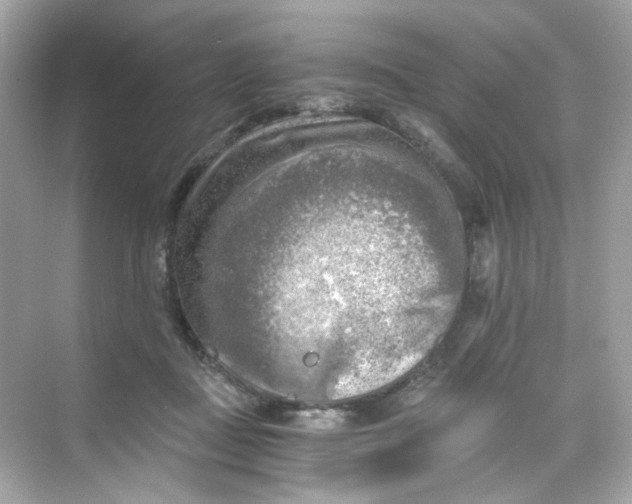 X0000069810363200606091841