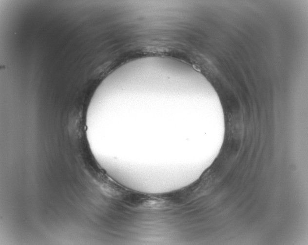 X0000069810364200606091841