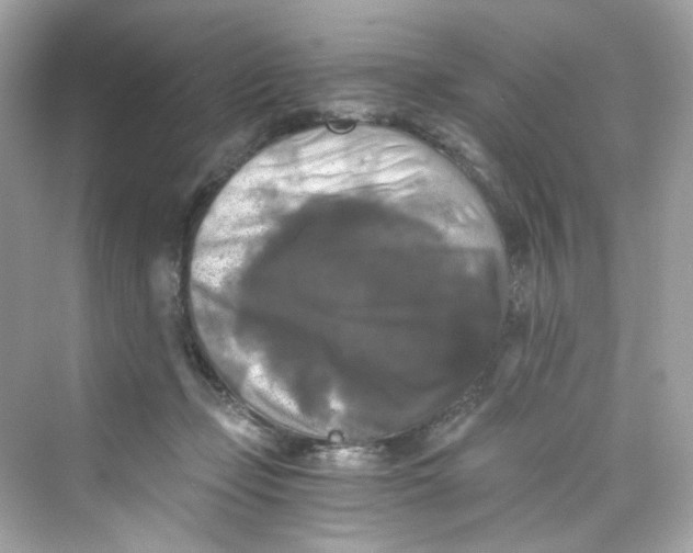 X0000069810365200606091841