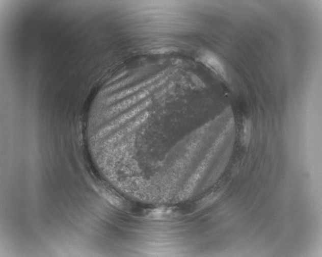 X0000069810366200606091841