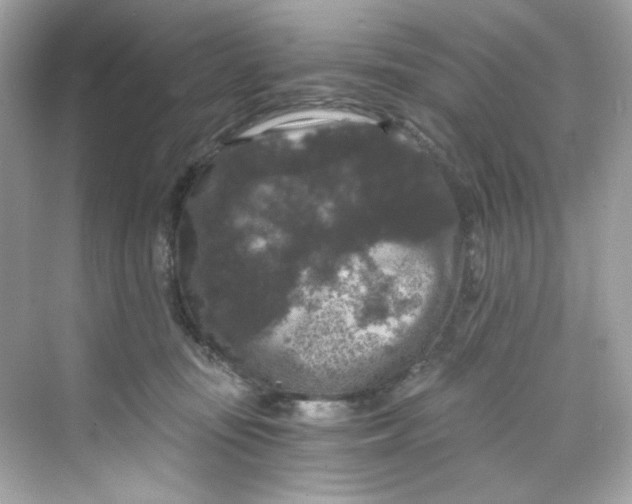 X0000069810371200606091841