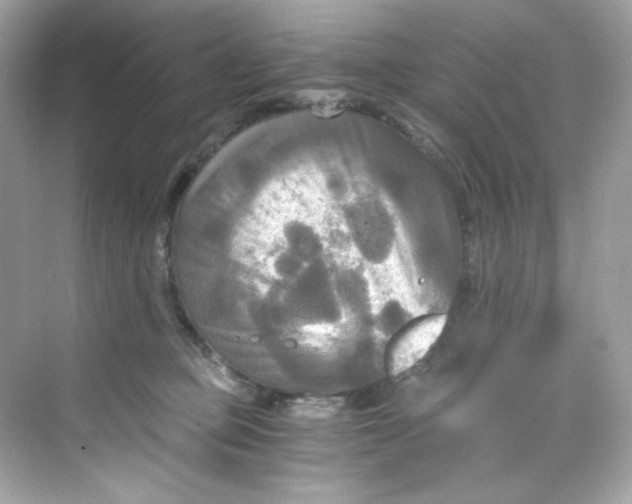 X0000069810373200606091841