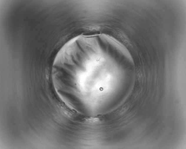 X0000069810374200606091841