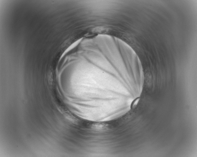 X0000069810375200606091841