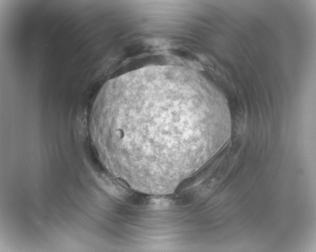 X0000069810376200606091841