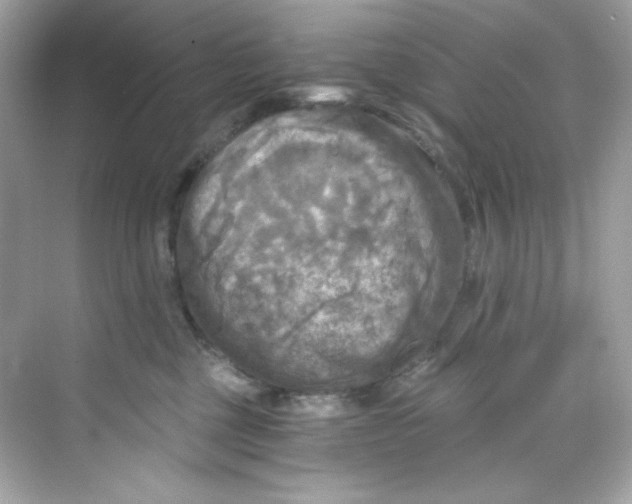 X0000069810377200606091841