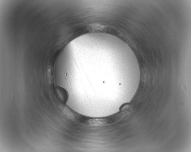 X0000069810378200606091841