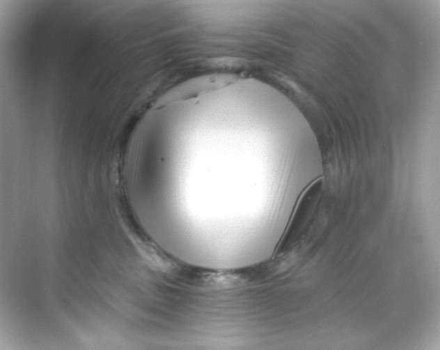 X0000069810379200606091841