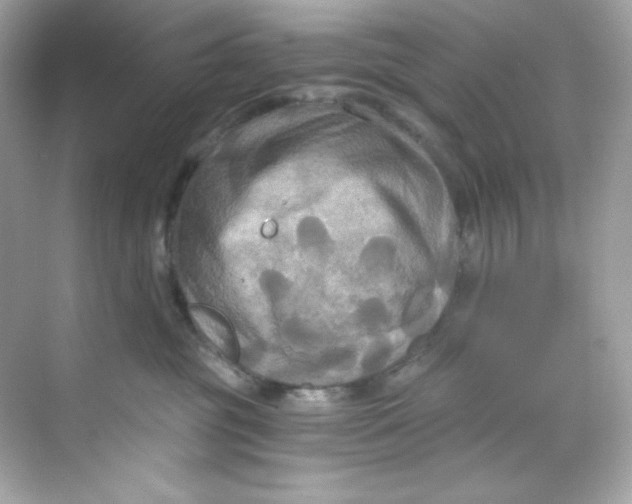 X0000069810381200606091841