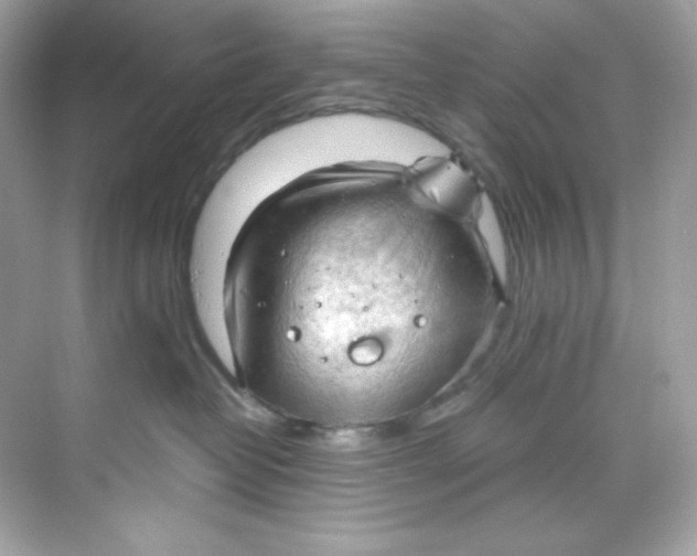 X0000069810382200606091841