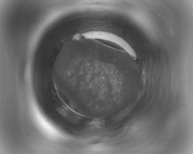 X0000069810383200606091841