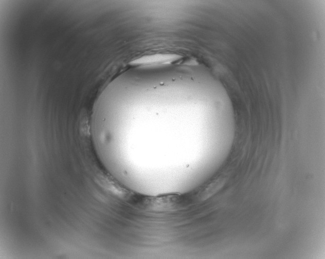 X0000069810384200606091841