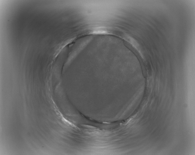 X0000069810385200606091840