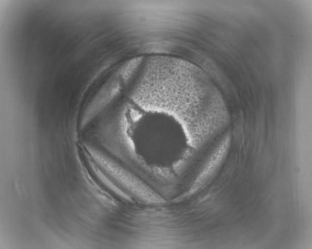 X0000069810386200606091840