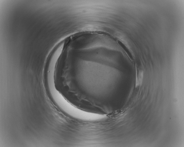 X0000069810387200606091840