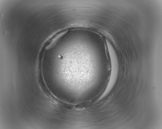 X0000069810388200606091840