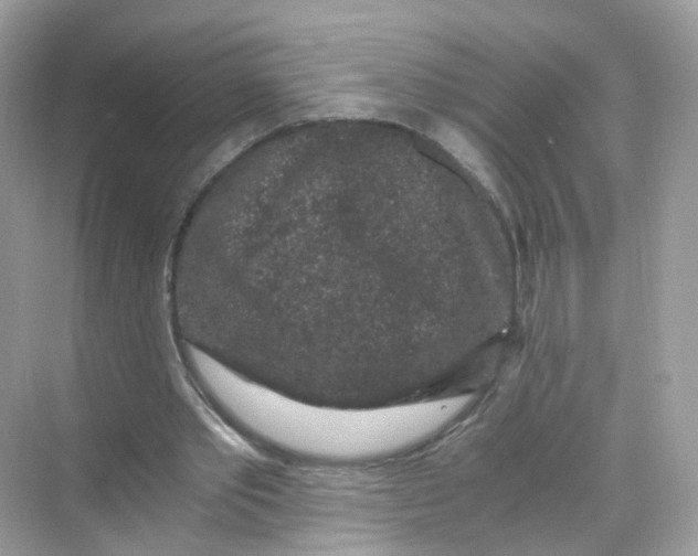 X0000069810389200606091840