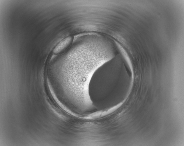 X0000069810390200606091840