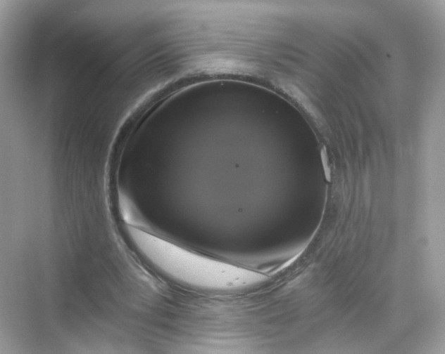 X0000069810391200606091840