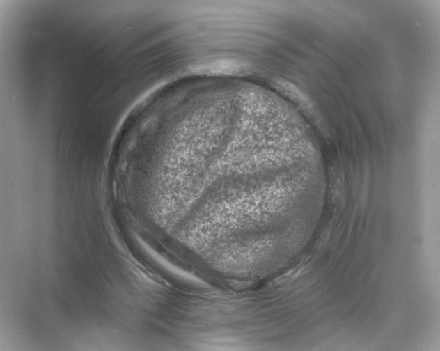 X0000069810392200606091840