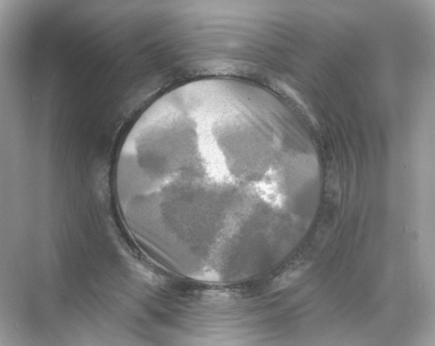 X0000069810394200606091840