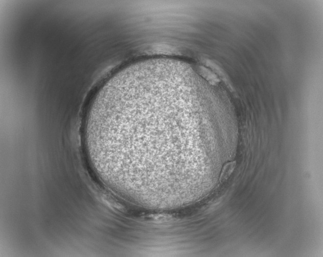 X0000069810395200606091840