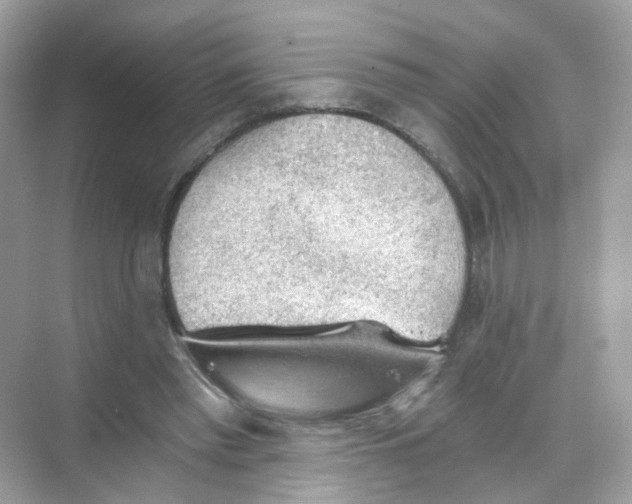 X0000069810397200606091840