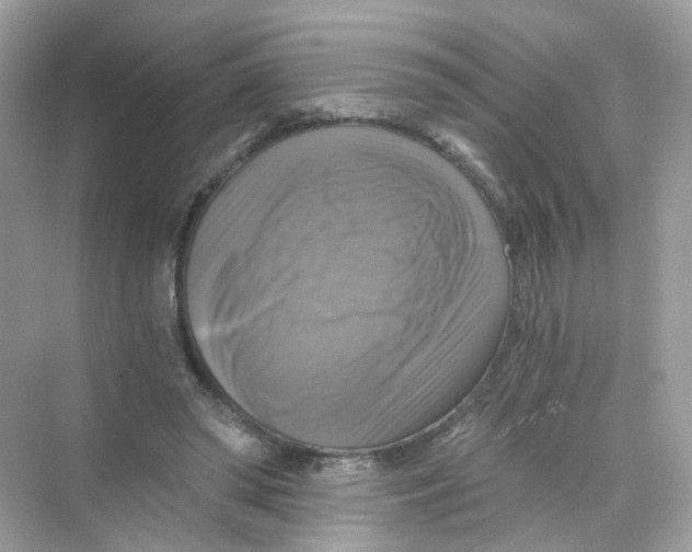 X0000069810398200606091840