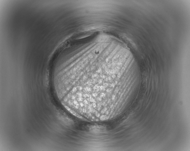 X0000069810400200606091840