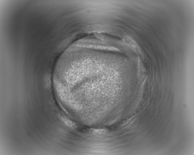 X0000069810401200606091840