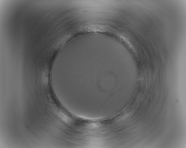 X0000069810402200606091840