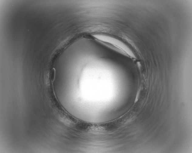 X0000069810403200606091840