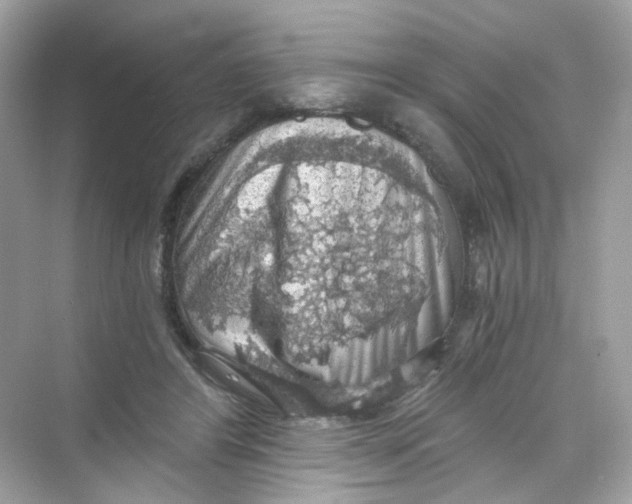 X0000069810404200606091840